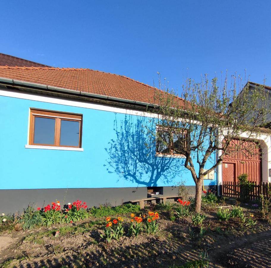 Blue Home Avrig Exterior photo